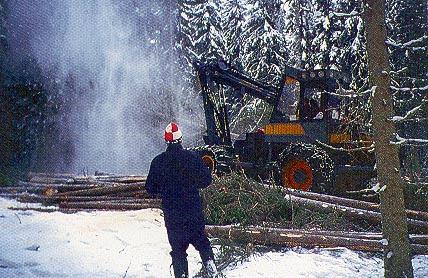 Tieteen tori Folia Forestalia 1995(4) duilla sekä kontrolliruudulla. Pyynnin jälkeen saalis pakastetaan ja määritetään.