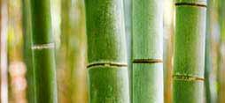 bamboo Leivänalunen, 2 kpl Luomuviljeltyä bambua. 5015532 12,00 moritz Pieni kulho ja lusikka Luomuviljeltyä bambua. 5015535 Salaatinottimet Luomuviljeltyä bambua.