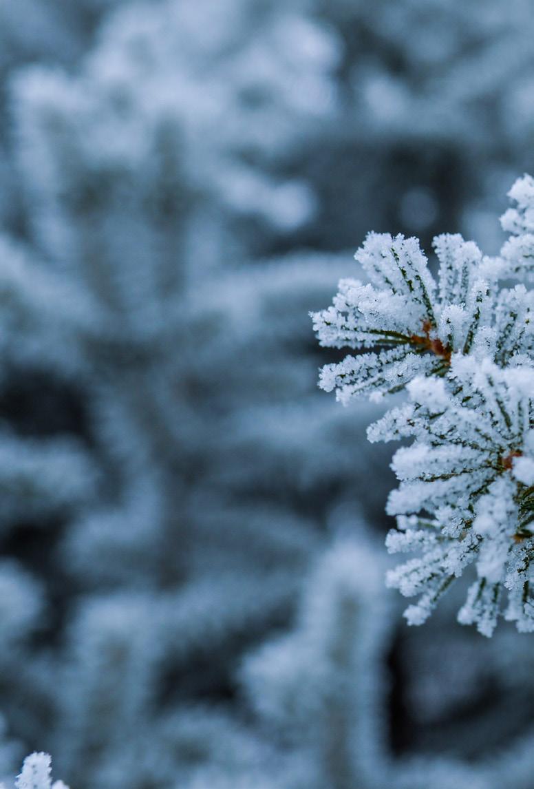 Kokoonkutsujana toimii Seija Miettinen Kalevan kirkon kuorot: Kalevan Seurakuntakuoro kirkon salissa 10. Harjoitukset keskiviikkoisin klo 14 16. Mukava ja komeasti laulava kuoro.