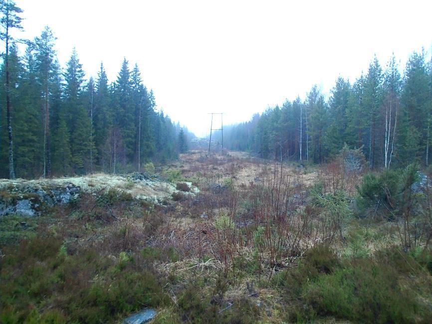 7 Voimajohtolinjaa, linjan