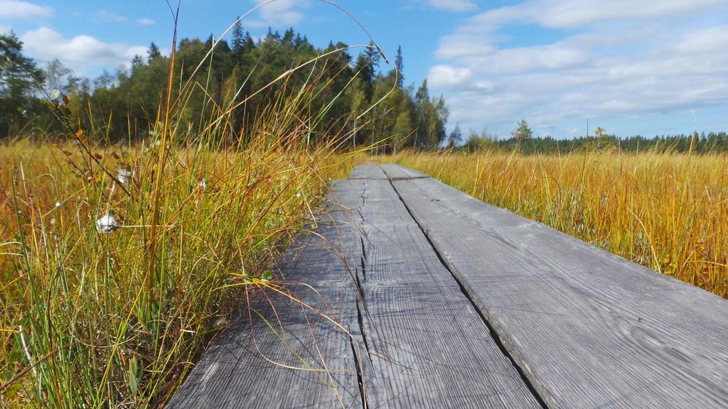 Jatkotoimenpiteet Näin sovittiin jatketaan vastuuhenkilöiden