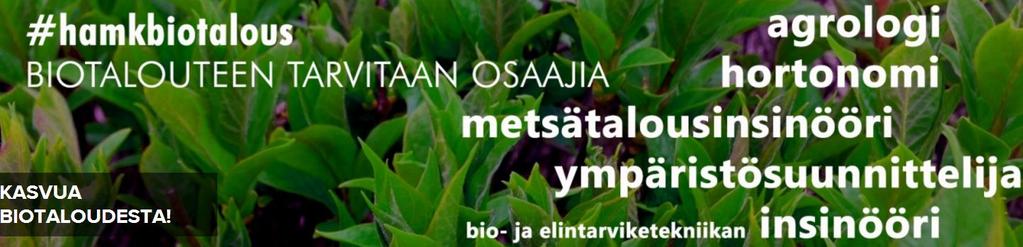 HAMK Biotalous Biotalous yksi hallituksen kärjistä Biotalous HAMKin sivuilla http://www.hamk.