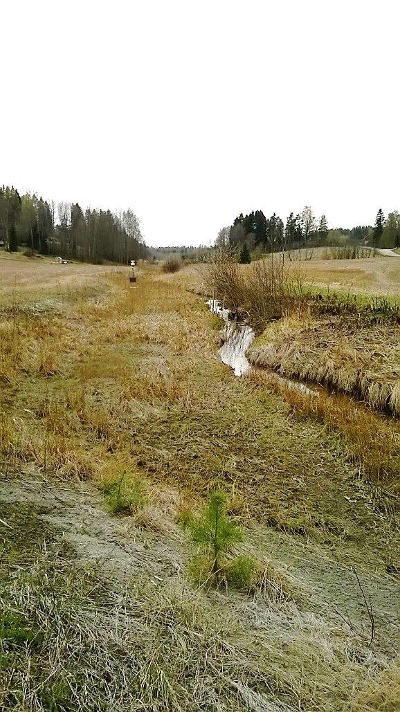 ole tätä rahoitusta saatavissa. Uuden ympäristökorvausjärjestelmän suunnittelussa todennäköisesti kosteikot ovat mukana toimenpide-ehdotusvalikoimassa.