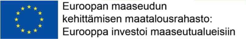 Viestintä ja raportointi Hanketoteuttajan