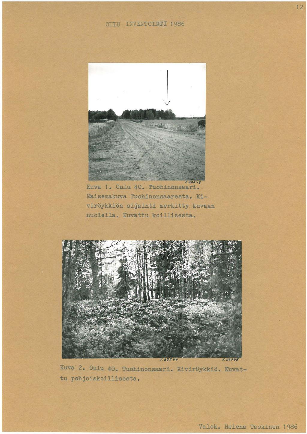 12 OULU I!NENTOINTI 1986 Kuva i. Oulu 40. Tuohinonsaari. ~~isemakuva Tuohinonsaaresta.