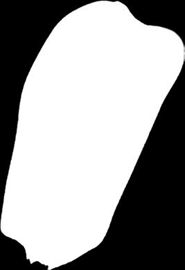 POSKIPUNA- PISARAT