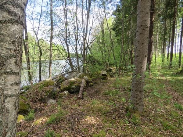 Haapakoski, läntinen haara, kuvattu lounaaseen.