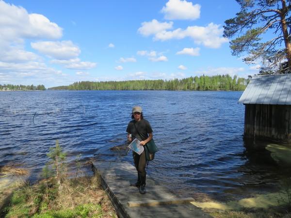 etelärinne, tuoreehko kangas. Kuva 6.