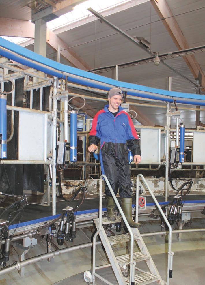 Lehmämäärä kahdessa vu STIG, ANDREAS JA TOMAS NYMAN tuottavat maitoa Kruunupyyn kunnassa Pohjanmaalla. Tilalla investoitiin 2011 uuteen navettaan. Nyt navetassa on kaikkiaan 160 lehmää.