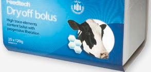 Magnesiumbolus laidunhalvausta vastaan DeLaval Maintenance bolus on kehitetty della olevan lehmän tarpeiden mukaan. Se sisältää runsaasti mm.