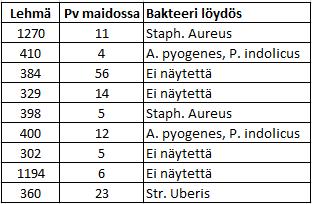 Umpeenpanohoidot Taulukosta 6 voidaan päätellä, että etenkin A. pyogenes ja Str. uberis tartunnat on saatu umpikauden aikana.