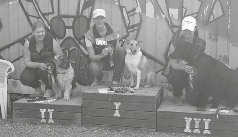 koetulokset 2016 agility koonnut: Suvi Mäkinen 10.1.2016 Vantaa, tuomari Arto Laitinen Flinkbein Laleczka Medi 1 EH 7,49; hyl 10.1.2016 Vantaa, tuomari Arto Laitinen Flinkbein Laleczka Medi 1 hyl; medi eh 11,20 Ohj.