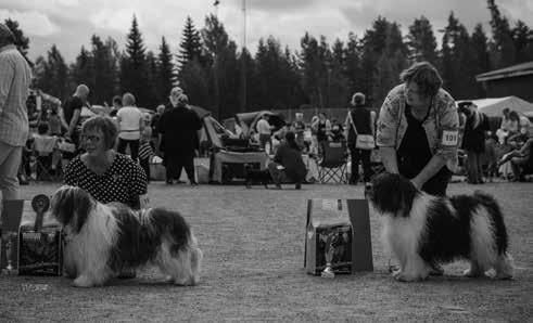 kuvat: Teijo Viljanen AMBERGINI S