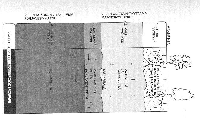 10 Kuva 4. Vesivyöhykkeet (Airaksinen 1978, s.45) Kapillaari- ja vajovesivyöhykkeissä veden virtaukseen ja tätä kautta haitta-aineiden kulkeutumiseen vaikuttavat sademäärä ja maaperän ominaisuudet.