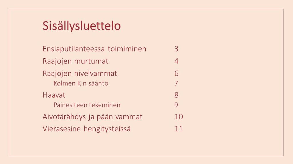 LIITE 2