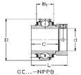 NPPB 6 25,4 -- -- -- 24,6 3 30 9,4 5 0,2 0,09 ANT042 42 12 -- 16,7 RALE20.