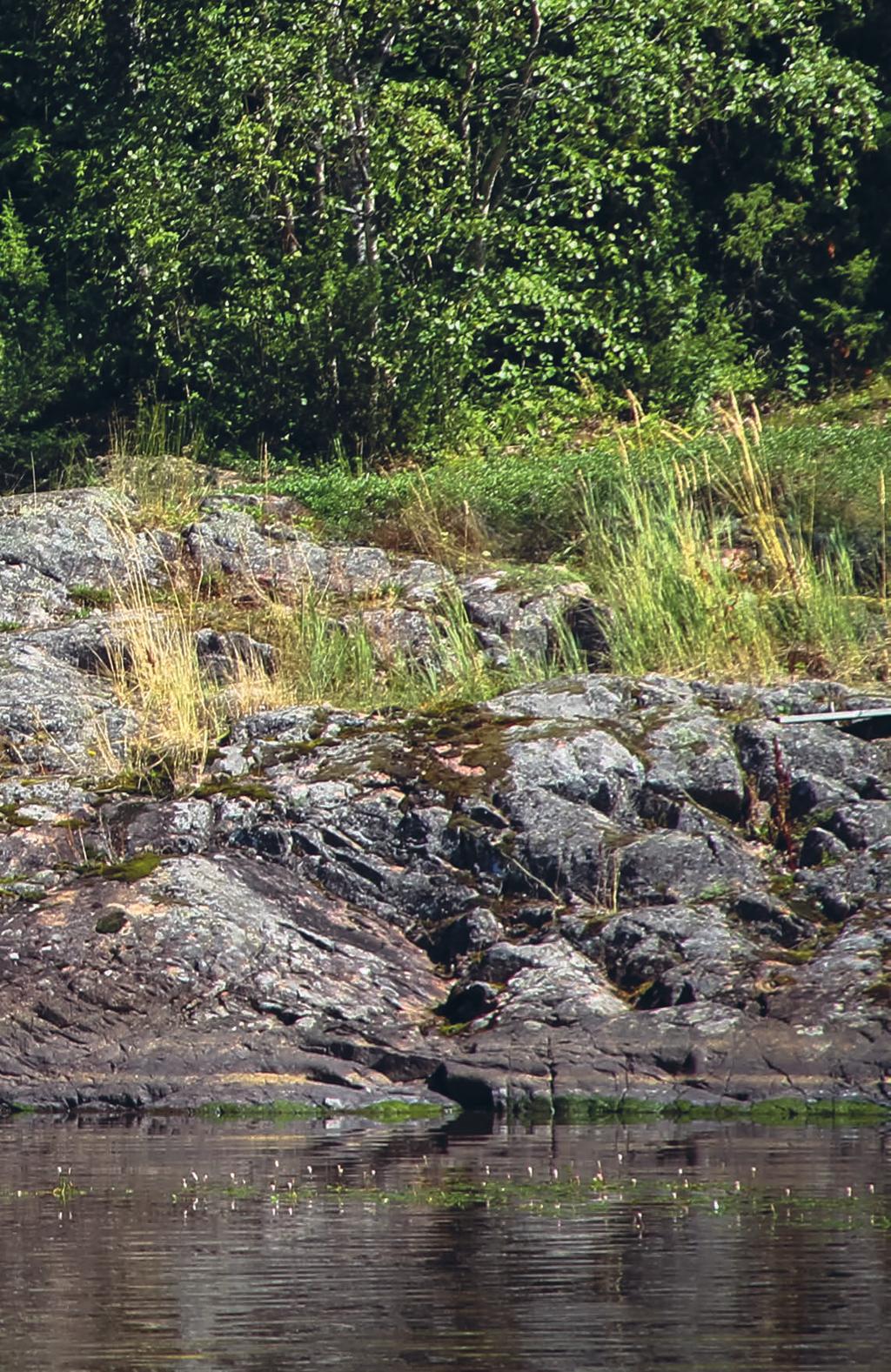 u OLONEUVOS Oloneuvos on suosituin pylväslaiturimme jo vuosikymmenien ajan. Se on tukeva ja turvallinen niin lapsille kuin vanhemmille ihmisille. Laiturilla on mukavasti tilaa oleskeluun ja uimiseen.