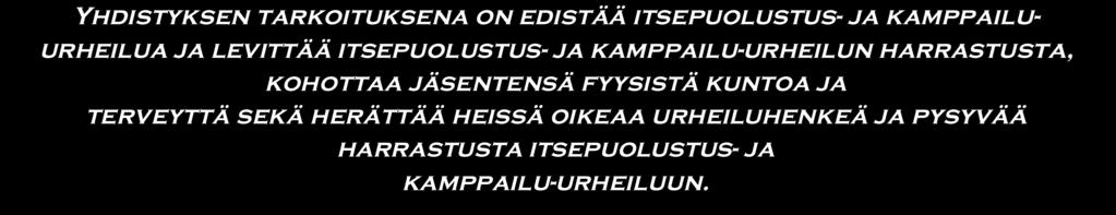 2 KAMIZAN TOIMINTA-AJATUS JA ARVOT Kamizan strategia pohjautuu yhdistyksen yhdessä määrittämiin arvoihin, tavoitetilaan (visioon) ja toiminta-ajatukseen (missioon).