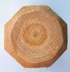 Octo-tolppa, kyllästetty 60/50 x 1500 mm 500726186, me 126 3,40 60 x 1500 mm 500707682, me 126 3,90 60 x 1800 mm 500751056, me 126 3,95 60 x 2500 mm 500762894, me 126 5,70 80 x 1800 mm 500710427, me