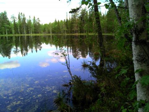 Nykyinen puusta rakennettu kevytrakenteinen silta on kostean maan peittämä ja sen lahotessa siitä voi tulla turvallisuusriski. Toinen silta olisi uusittava joka tapauksessa (kuvassa).
