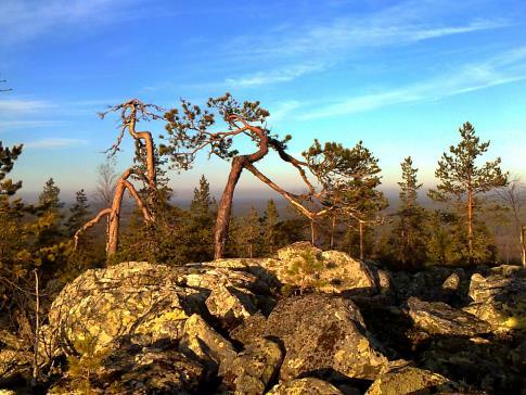 Kätkävaara-Mustamaa-Kaivoskangas-Luppovaara patikkapolku, n. 16 km. (KARTTA 3) Kätkävaarasta Mustamaan ja Kaivoskankaan kautta Luppovaaraan menevää reittiosuutta kannattaisi harkita perustettavaksi.