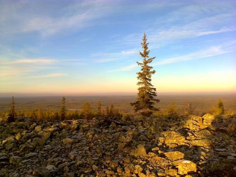 Kätkävaara - Kätkävaaran Luontokeskus pistoreitti Kätkävaaran luontopolulle, n. 1,4 km. (KARTTA 3) Vaaran päältä on mennyt merkitty reitti Kätkävaaran ent. koululle.