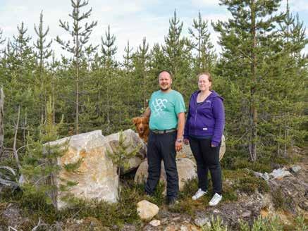 Ennen sitä he olivat lisänneet huomattavasti X-Vik-siemenen käyttöä. Korkeimmillaan niiden osuus lypsyrotusiemennyksistä oli 70 prosenttia.