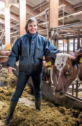 Kannen kuva Jari Kesänen FABAN JÄSENLEHTI Faba osk PL 95 (Korpikyläntie 77) 15871 Hollola Puh. 020 747 2020 Toimitusjohtaja Antti Latva-Rasku Puh. 0400 342 039 Tuoteryhmäjohtaja Marja Eskelinen Puh.