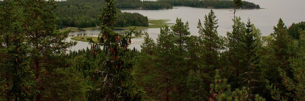 asuinympäristönä, jossa osaamista ja voimavaroja hyödynnetään tehokkaasti monenlaisten
