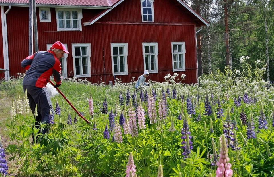 Otetaan esimerkiksi vaikka Keski-Suomen ruokaketjun koordinaatio yhteistyöhanketta edeltänyt hanke, jonka tuloksena 2013 julkaistu Keski- Suomen ruokaketjun kehittämisstrategia näkyy nyt maakunnan
