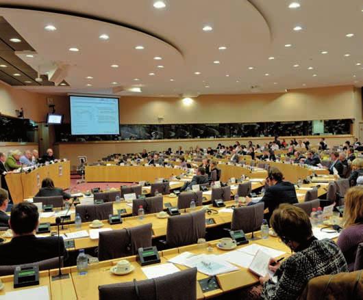 Naisten oikeuksien ja sukupuolten tasa-arvon valiokunta Eva-Britt SVENSSON (GUE/NGL, SE) EUROOPAN PARLAMENTIN VALIOKUNNAT