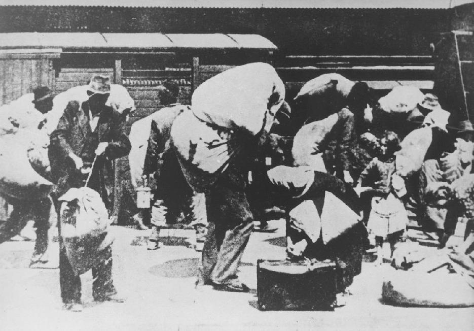 AINEISTO 4 Toisen maailmansodan aikana miljoonat ihmiset joutuivat joukkoteloitusten, karkotusten, nälkiintymisen, pakkotyön, keskitysleirien ja pommitusten uhreiksi.