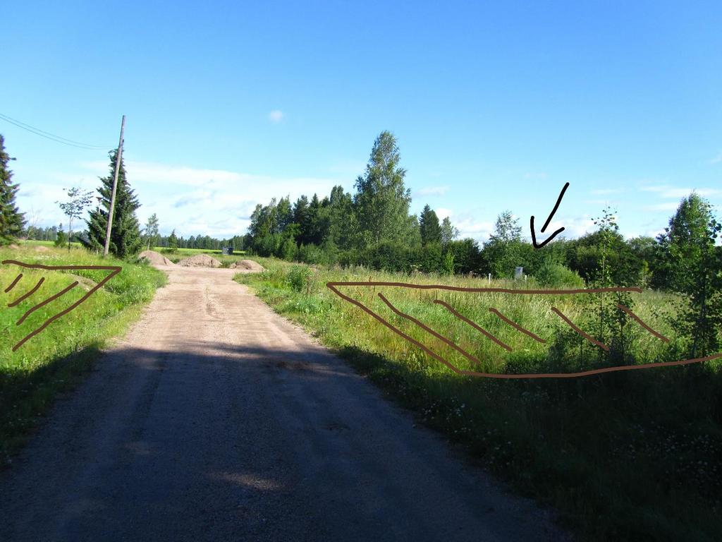 Kuva 15. Pajutien molemmin puolin sijaitsee mahdollisia läjityspaikkoja.