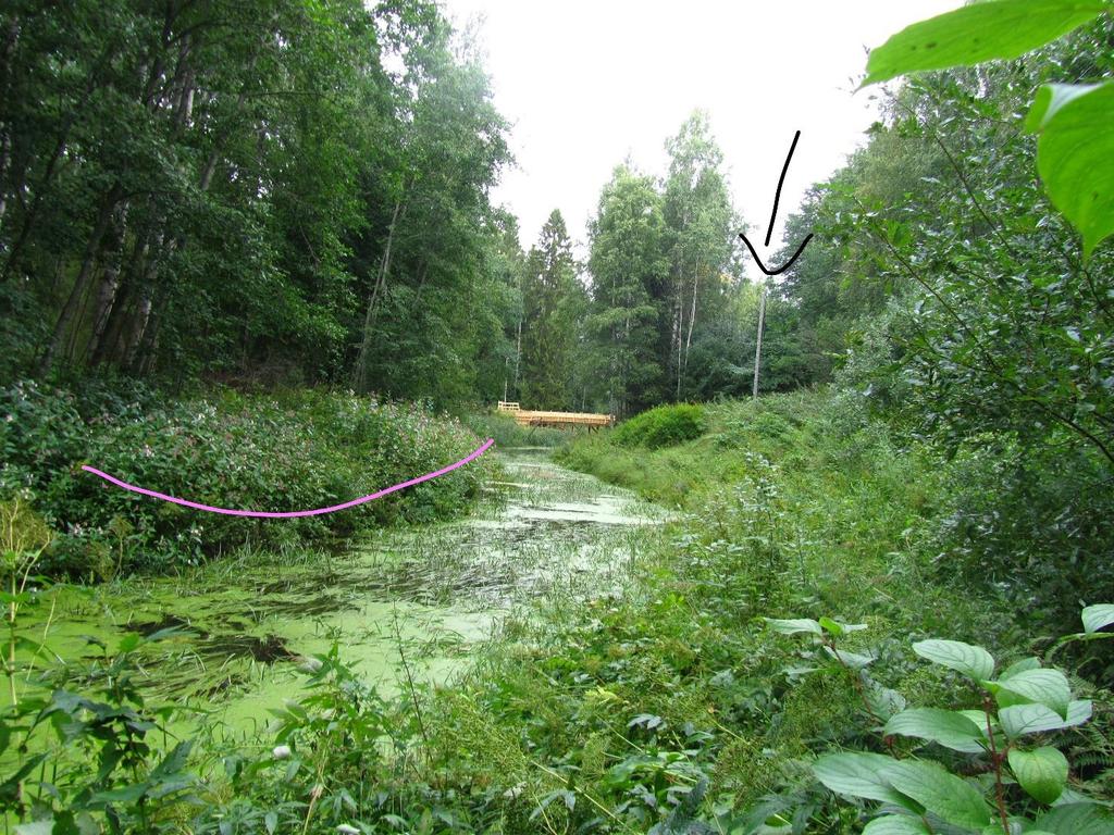 Kuva 26. Koulutien silta taustalla. Kuva otettu Punkanjoen alavirran suuntaan.