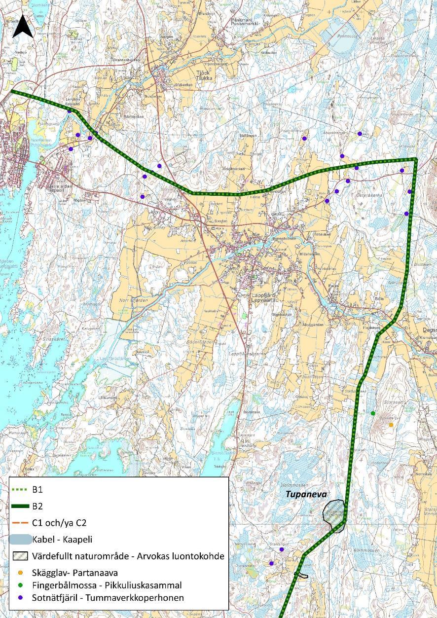 B1 B2 C1 och/ja C2 Kabel Kaapeli Värdefullt naturområde Arvokas luontokohde Skägglav Partanaava Fingerbålmossa