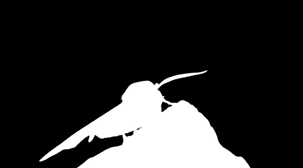 han systeemin loppupään ryhmät. Yökkösten yläheimon Suomessa muodostavat siis nirkot (Notodontidae), venhokkaat (Nolidae) ja Erebidae- sekä Noctuidae-yökköset.