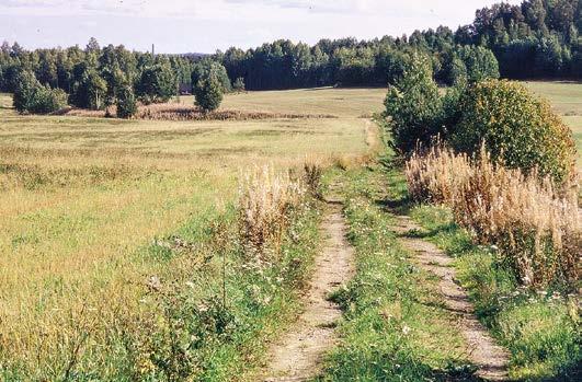 2E 2F 2G 2H KUVA 2. Näkymiä linjalta syksyllä 1992 ja 2013. A B) Ladon oikealla puolella siintää lohko 2 (hiekkakuopasta sorakentäksi), vasemmalla puolella on lohko 3.