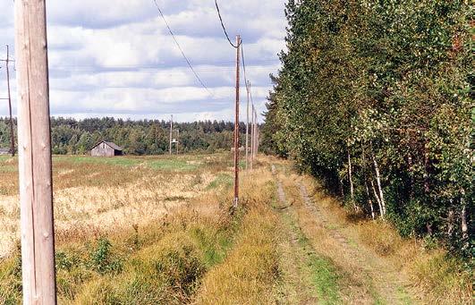 Taustalla siintää lohkon 9 lato, tosin vain vanhemmassa kuvassa. FIG. 2. Autumn sights along the transect in 1992 and 2013.