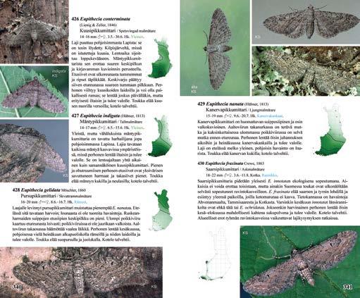 Publishing SUOMEN PÄIVÄ- JA YÖPERHOSET maastokäsikirja 820 sivua, pehmeäkantinen, 130 215 mm Suomen päivä- ja yöperhoset esittelee 820 sivulla ja 83 värikuvataulussa yleistajuisesti kaikki 1074