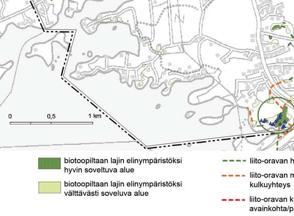 Liito-orava on rauhoitettu, vaarantunut, uhanalainen, EU:n luontodirektiivin liitteiden II ja IV laji sekä Suomen erityisvastuulaji.