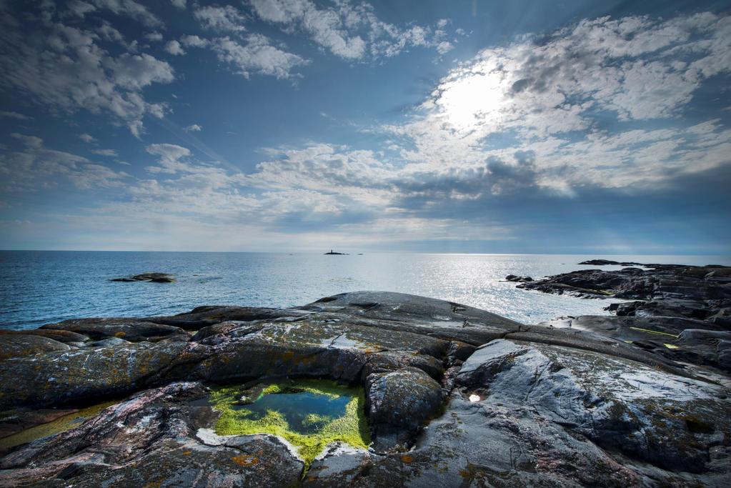 Kiitos! Minna Pekkonen Biodiversiteettikeskus, Suomen ympäristökeskus minna.