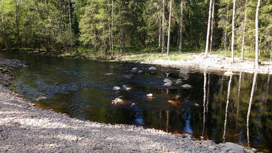 omistajilta, joiden omistuksessa on vähintään kolme neljännestä veden alle jäävästä maa-alueesta.