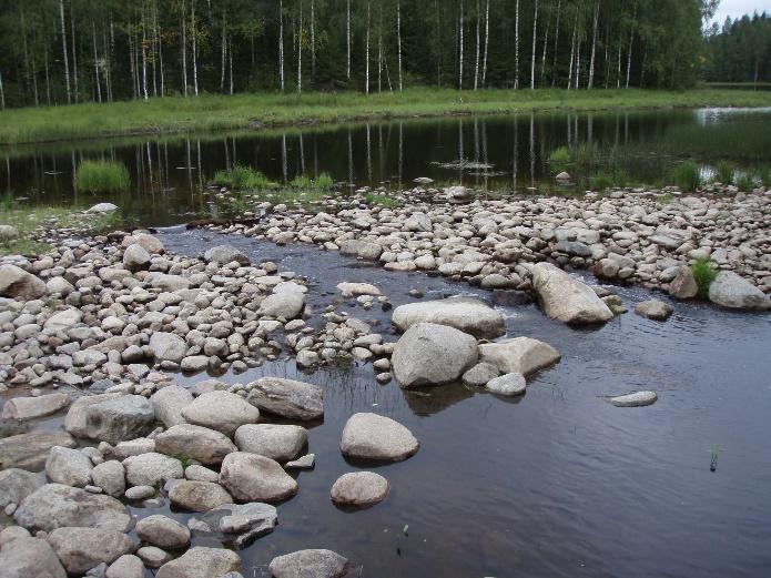 Kihniön Nerkoojärven (vas.