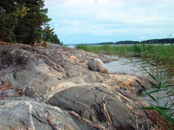 22B Sjöviken 24A Prästviken 25 Björknäs, Idon ranta 26A Rosviken Pohjanpitäjänlahti, eteläosa 0 20 40 60 80 100 i e m-e m o-m o Pohjanpitäjänlahti, keskiosa 0 20 40 60 80 100 29 Kesäsiirtolan ranta