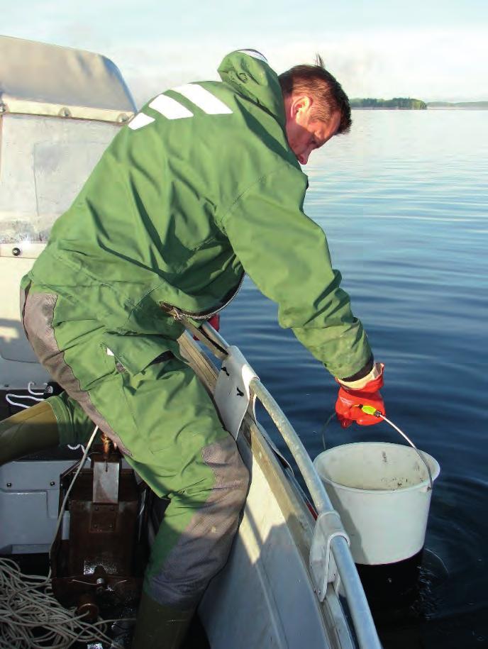 Taulukko 5. Pohjanpitäjänlahden ja Tammisaaren merialueen havaintopaikat. Harmaalla suppeiden tarkkailuvuosien havaintopaikat ja syvyydet (vuodet 2010 2012).