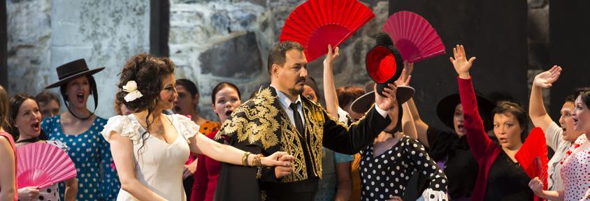 Carmen Savolinnan oopperajuhlat 2014 OSTOKANAVA LIPUNOSTOHISTORIA TAPAHTUMIA KOSKEVAN TIEDON HANKINTA Klassinen musiikki Sanomalehdet Ooppera, operetti Lippupisteen sähköinen uutiskirje Baletti,