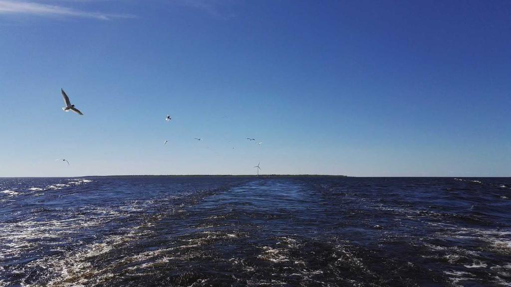 16T-10 HAILUODON KIINTEÄN YHTEYDEN LUONTOSELVITYKSET 2017 Raportti
