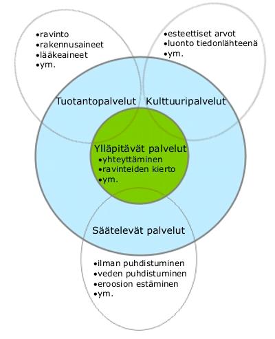 SANASTOA Ekosysteemipalvelut Ihmisen luonnosta saamat aineelliset ja aineettomat hyödyt. Ekosysteemipalvelut jaetaan neljään luokkaan: ylläpitäviin, sääteleviin, tuotanto- ja kulttuuripalveluihin.
