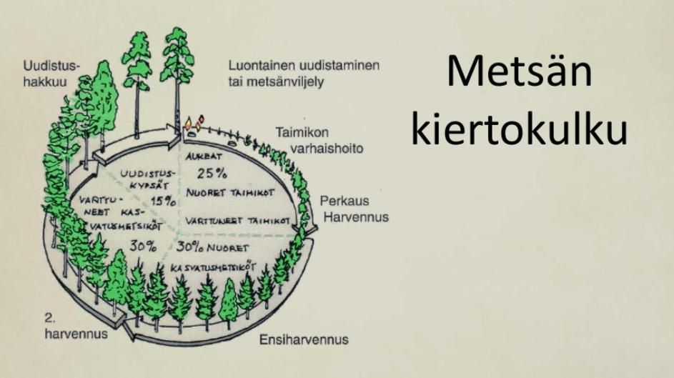 Lisäksi erirakenteinen metsänkasvastus, jossa metsä säilyy