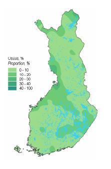 Koivu hieskoivu (rauduskoivu) Hieskoivu - suokko Sietää hyvin kosteaa kasvualustaa (suot, märät maat) Muodostaa helposti tiheikköjä mm. ojitetuille turvemaille.